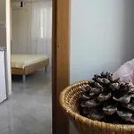 Jp 제제라